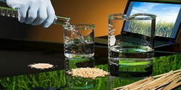 biofaktor