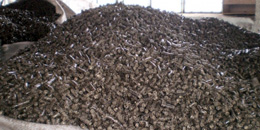luzga