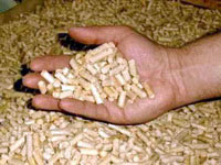pellet_4
