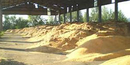 pelleta4